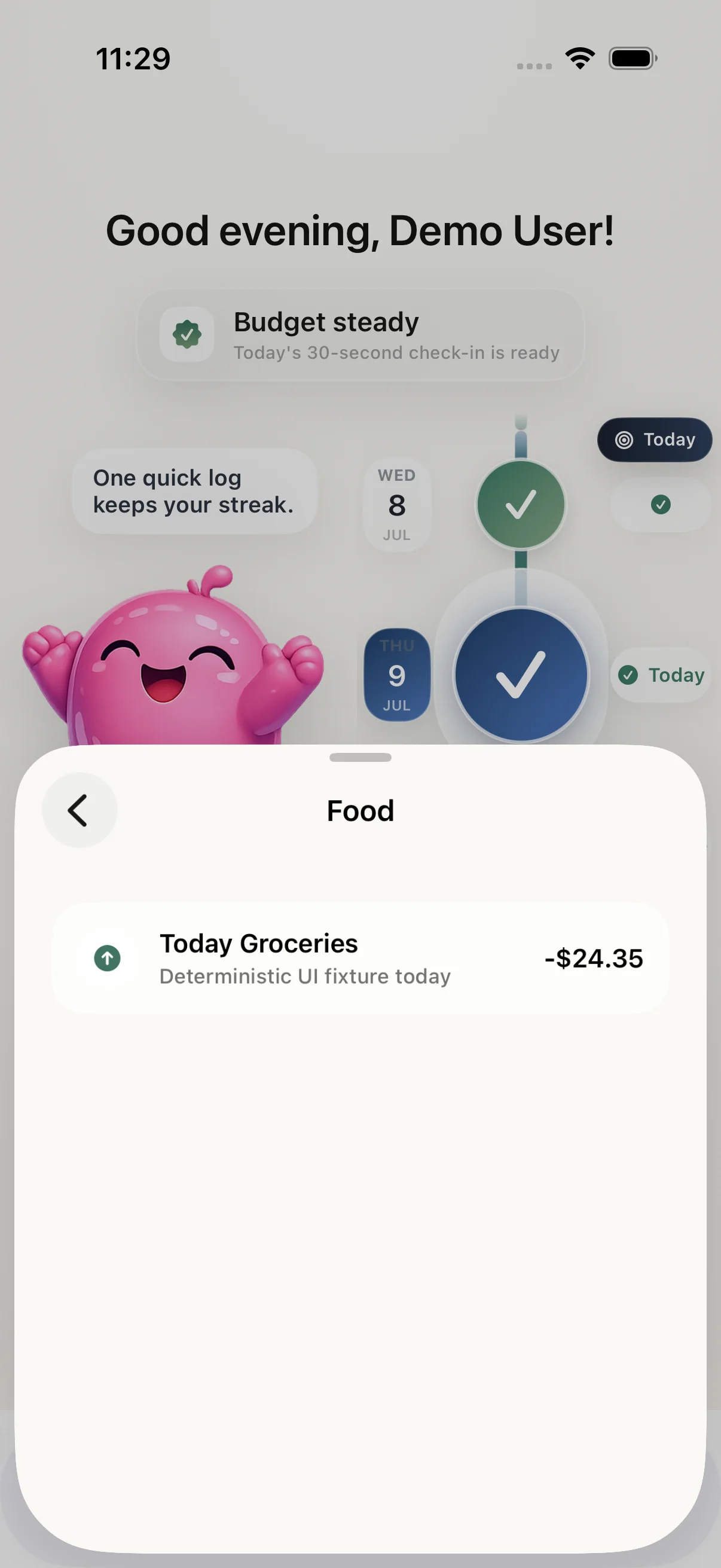 Day details in KindBudget